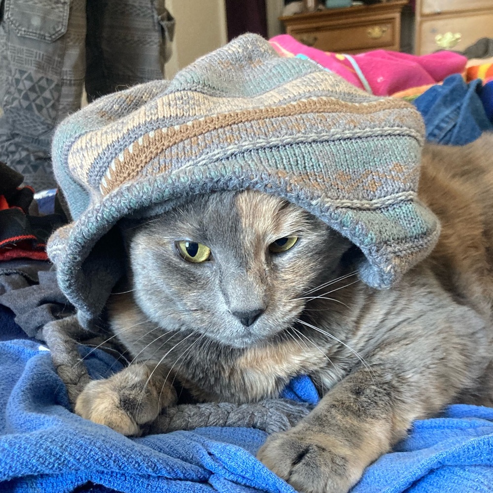 Meet your Posher, Cassie